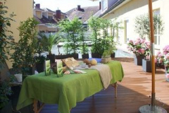 Astrid-Fauster-Vortrag-24